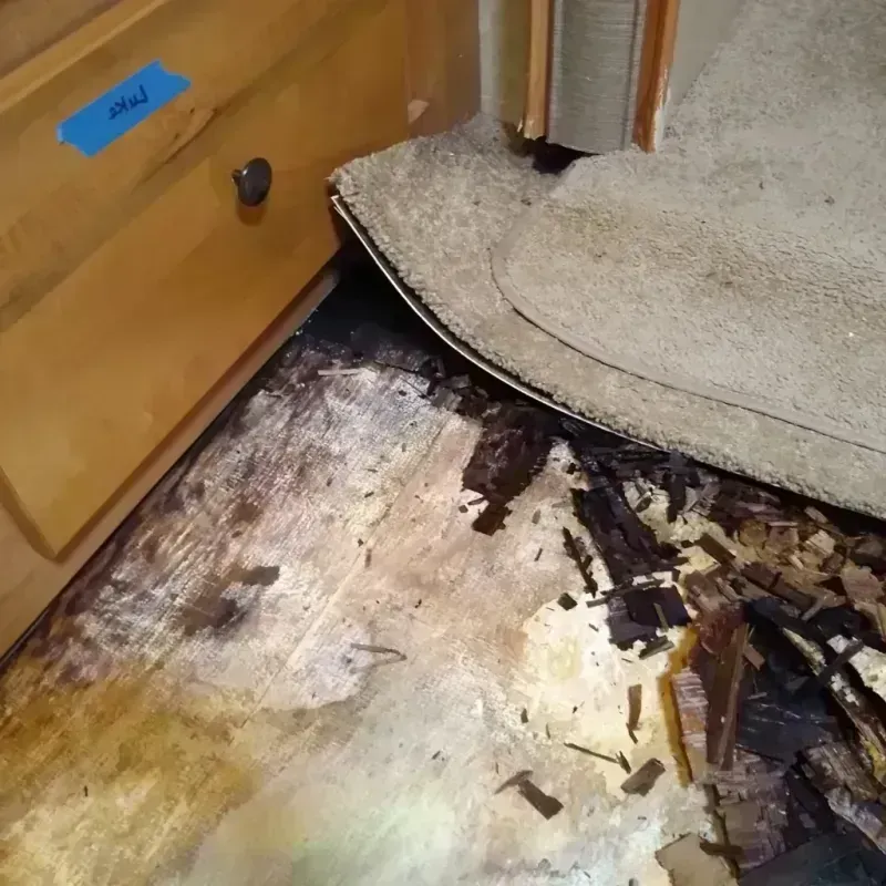 Wood Floor Water Damage in Bessemer, AL